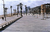Michelangelo Marble - Marble & Granite Paving Stones